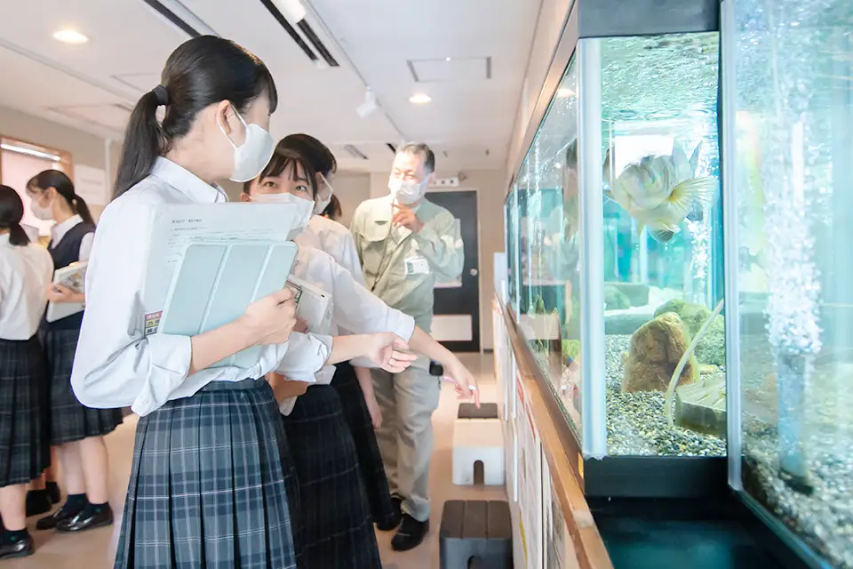 外来生物展示センター