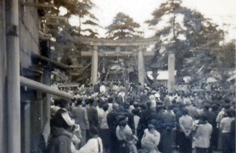 写真：海神社秋祭神輿