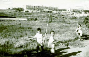 写真：虫捕りで遊ぶ子ども（奥は東垂水小学校）