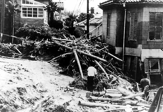 葺合区北野町3丁目（新生田川）