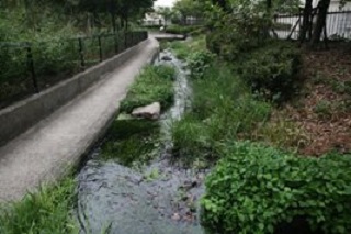 せせらぎ水路散歩道