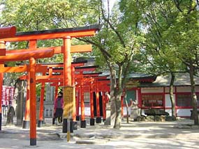 湊川神社の写真4