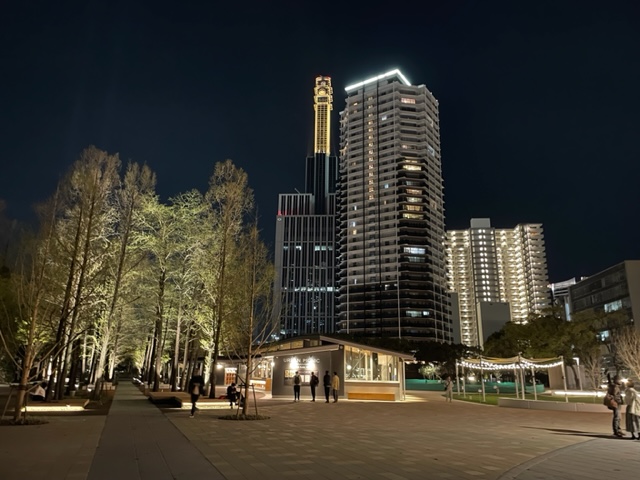 夜には暖色の温かい光で公園をライトアップ