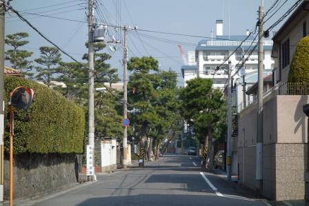 芦屋川風致地区の画像