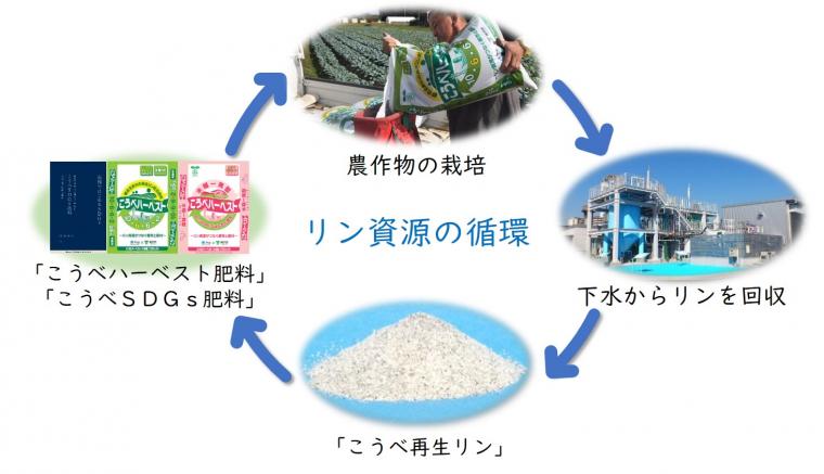 リン資源の循環3