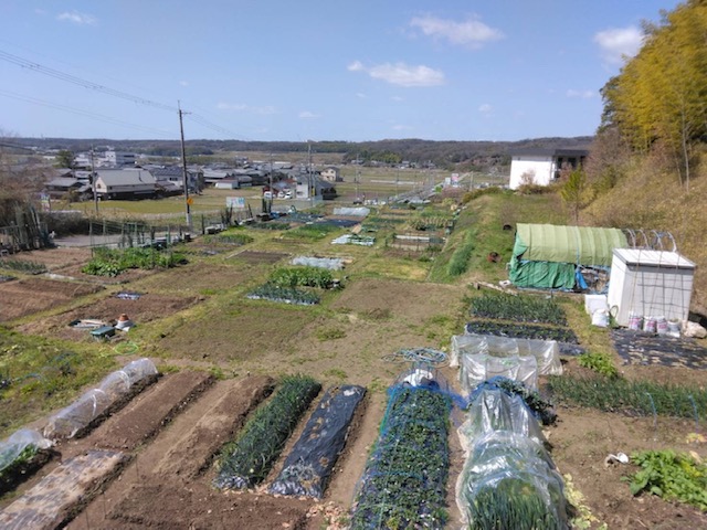 堅田ふれあい