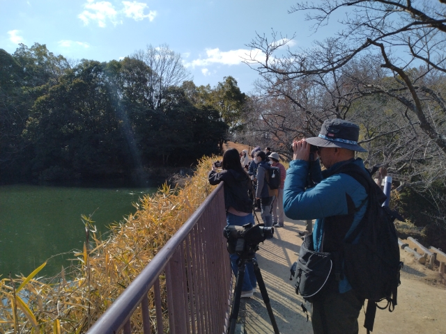 多井畑野鳥2