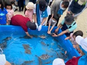 魚のタッチプールの様子