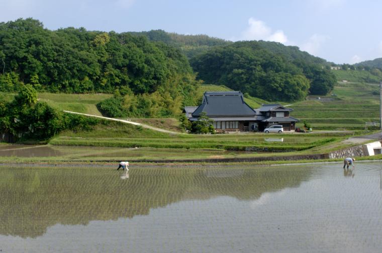 農村里山